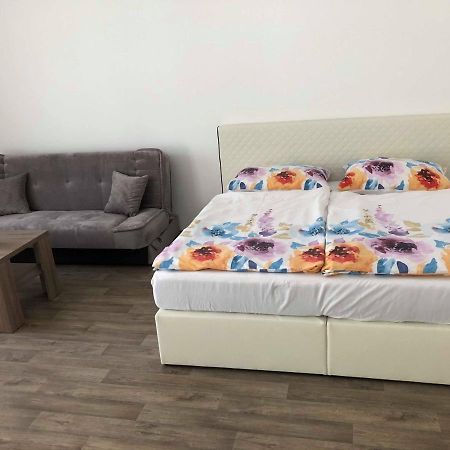 Apartmany Doris Litoměřice エクステリア 写真