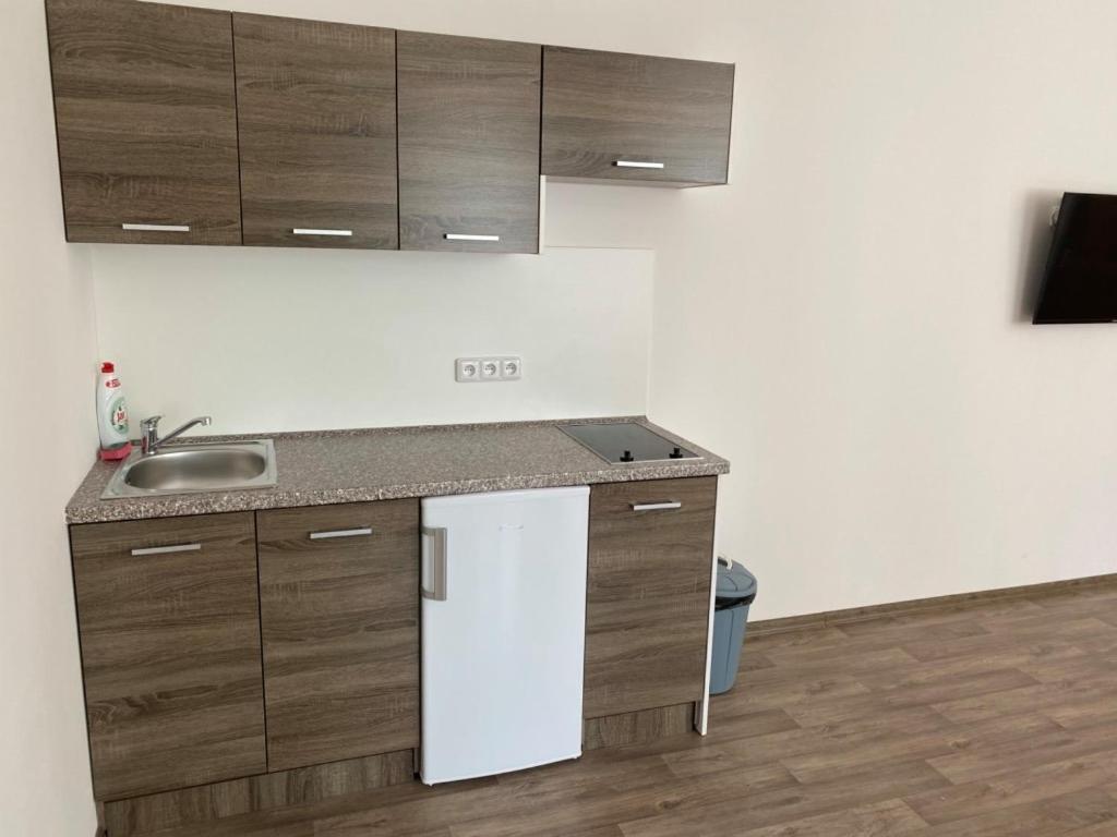 Apartmany Doris Litoměřice エクステリア 写真