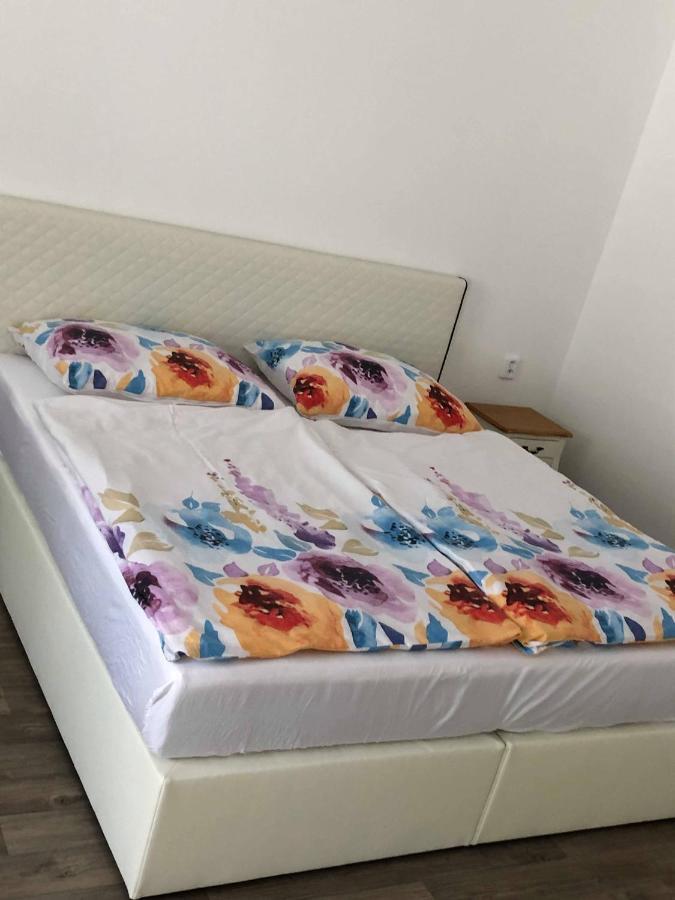 Apartmany Doris Litoměřice エクステリア 写真